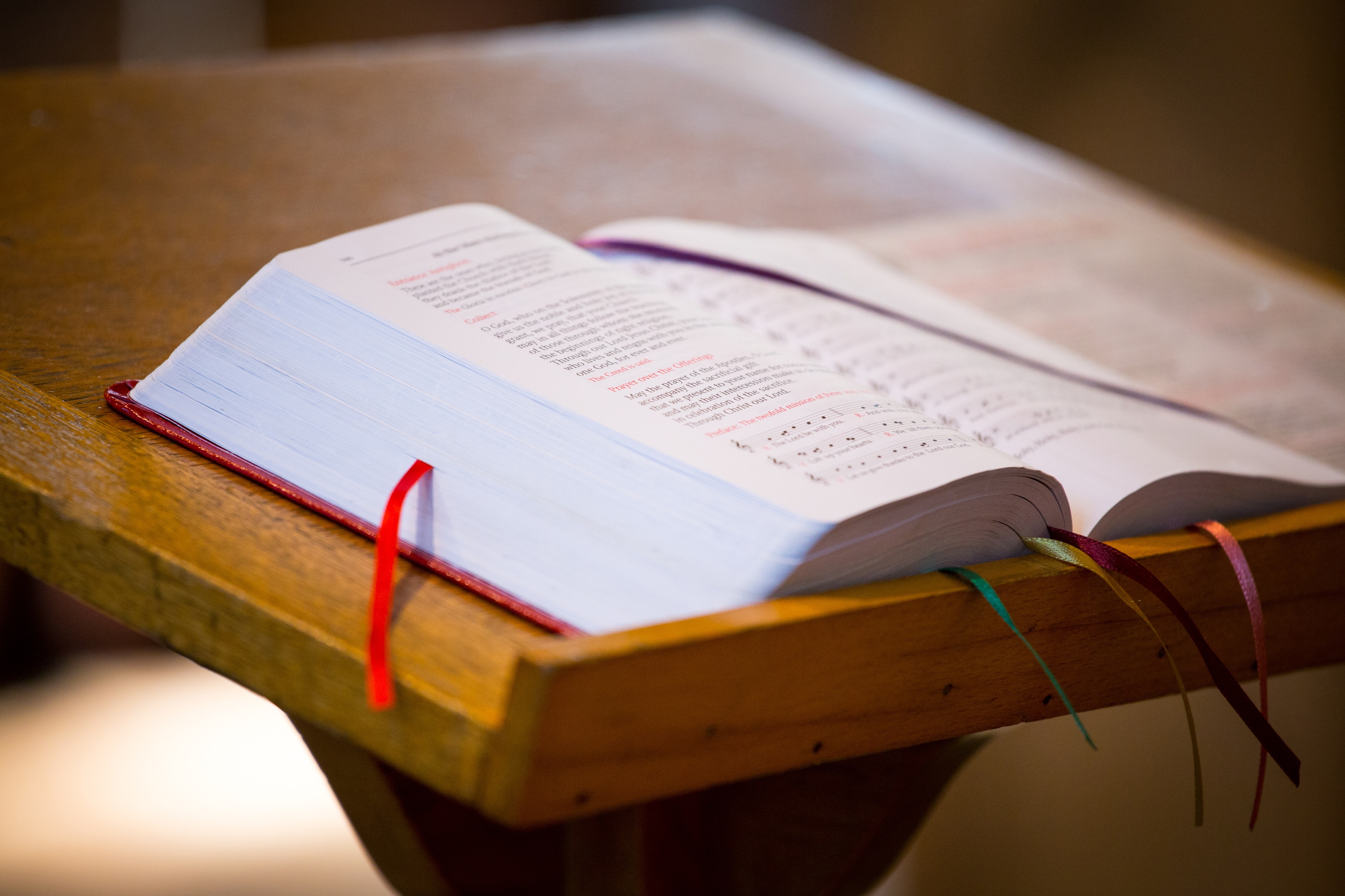 Get homily helps here!